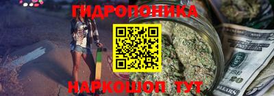 индика Кунгур
