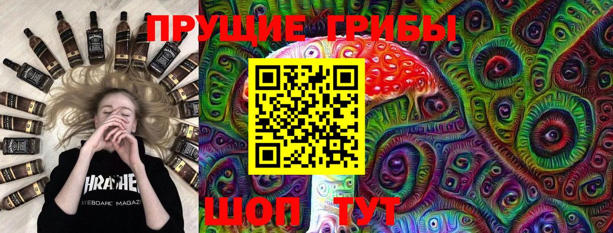 Избербаш  Галлюциногенные грибы GOLDEN TEACHER  Галлюциногенные грибы Psilocybine cubensis  купить наркотик  Вход с VPN 