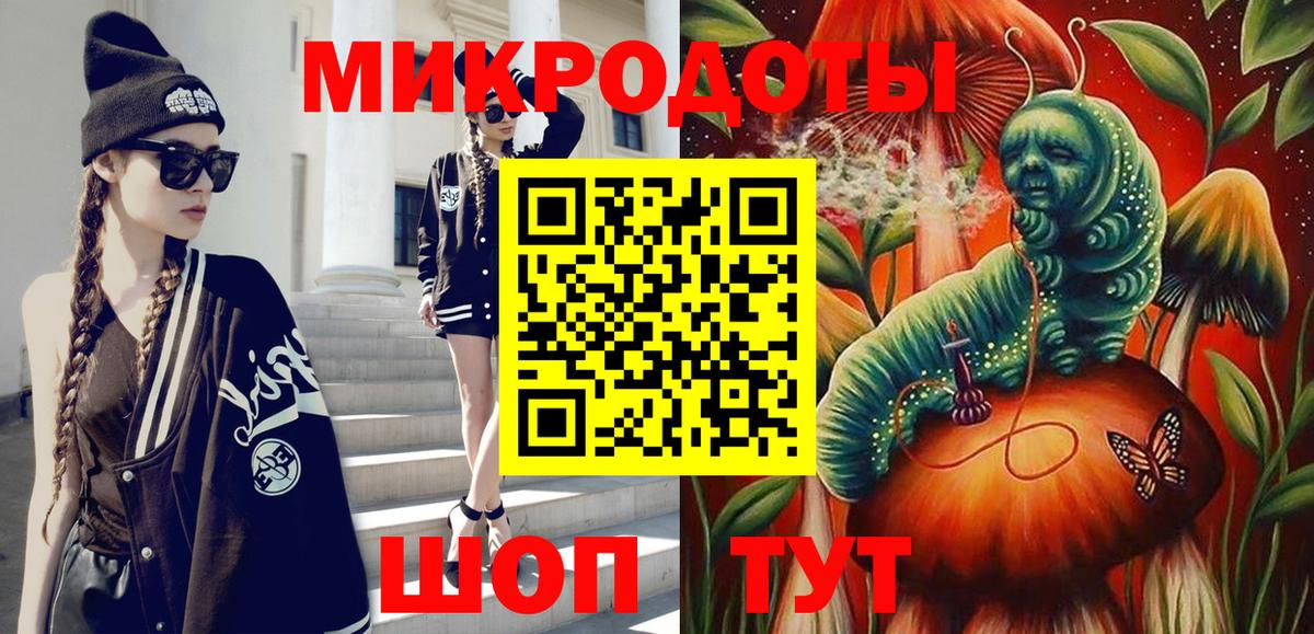 Псилоцибиновые грибы Psilocybe Избербаш
